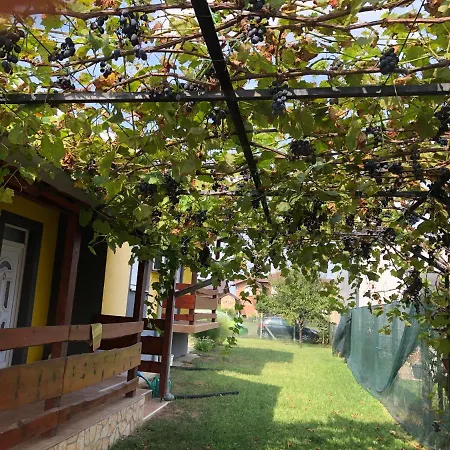 Lux Hus Novi Sad Apartment Veternik
